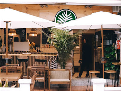 PlantShack 01